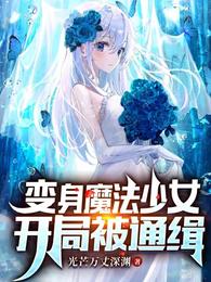 变身魔法少女的战斗史