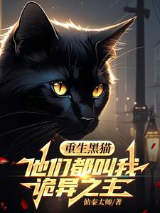主角有一只黑猫的小说